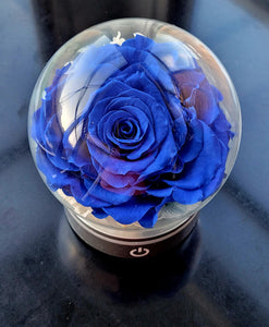 LED Light with Giant Preserved Rose