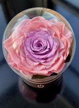 Load image into Gallery viewer, LED Light with Giant Preserved Rose